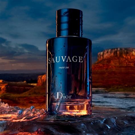 dior sauvage 100 ml uk|Dior Sauvage cheapest price UK.